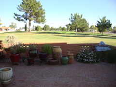 Back patio view